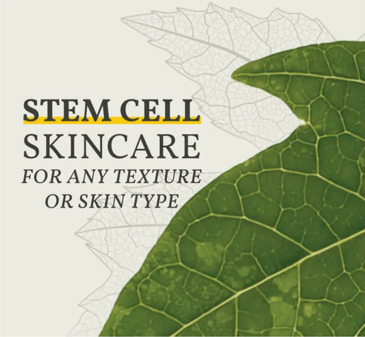 What are the Benefits of Switching to Grape Stem Cell based skincare?